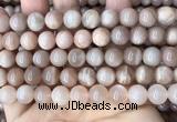 CMS1673 15.5 inches 10mm round moonstone beads wholesale