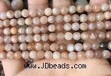 CMS1678 15.5 inches 6mm faceted round moonstone beads wholesale