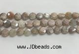 CMS1789 15.5 inches 10mm faceted coin AB-color moonstone beads