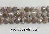 CMS1791 15.5 inches 14mm faceted coin AB-color moonstone beads