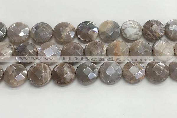 CMS1793 15.5 inches 18mm faceted coin AB-color moonstone beads