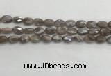 CMS1798 15.5 inches 8*12mm faceted oval AB-color moonstone beads