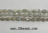 CMS1806 15.5 inches 8*12mm faceted oval AB-color moonstone beads