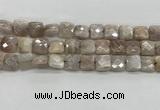 CMS1828 15.5 inches 12*12mm faceted square AB-color moonstone beads