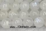 CMS1901 15.5 inches 6mm round white moonstone gemstone beads