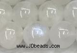 CMS1904 15.5 inches 12mm round white moonstone gemstone beads