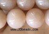 CMS1932 15.5 inches 10mm round moonstone beads wholesale