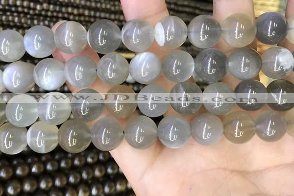 CMS1944 15.5 inches 12mm round grey moonstone beads wholesale