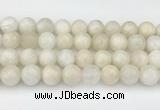 CMS2030 15.5 inches 12mm round white moonstone beads wholesale