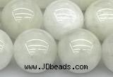 CMS2097 15 inches 10mm round white moonstone beads