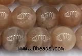 CMS2112 15 inches 9mm round moonstone beads