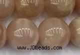 CMS2114 15 inches 11mm round moonstone beads