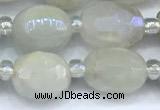 CMS2130 15 inches 8*10mm - 9*12mm faceted nuggets AB-color moonstone beads