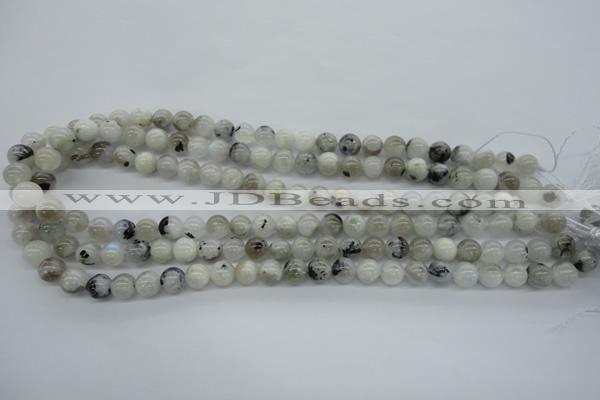 CMS216 15.5 inches 8mm round white moonstone gemstone beads