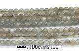 CMS2294 15 inches 6mm round grey moonstone beads wholesale