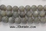 CMS303 15.5 inches 8mm round natural grey moonstone beads wholesale