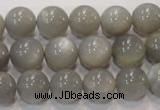 CMS307 15.5 inches 12mm round natural grey moonstone beads wholesale