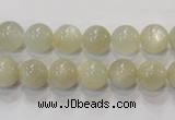 CMS311 15.5 inches 6mm round natural moonstone beads wholesale