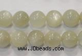 CMS313 15.5 inches 10mm round natural moonstone beads wholesale