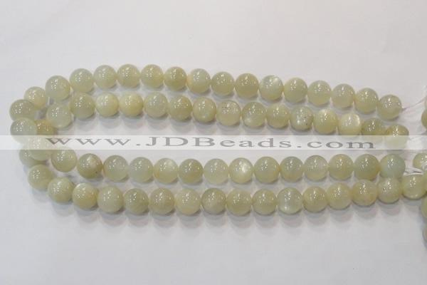 CMS313 15.5 inches 10mm round natural moonstone beads wholesale