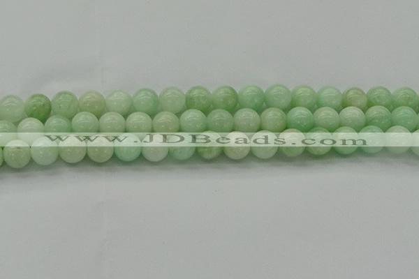 CMS412 15.5 inches 8mm round green moonstone beads wholesale