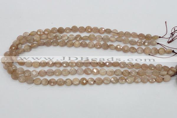 CMS43 15.5 inches 8mm faceted coin moonstone gemstone beads