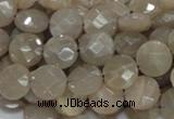 CMS44 15.5 inches 10mm faceted coin moonstone gemstone beads