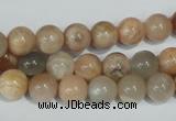 CMS503 15.5 inches 8mm round moonstone beads wholesale