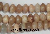 CMS519 15.5 inches 6*10mm rondelle moonstone beads wholesale