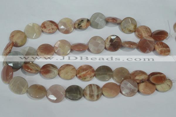 CMS558 15.5 inches 20mm faceted coin moonstone beads wholesale