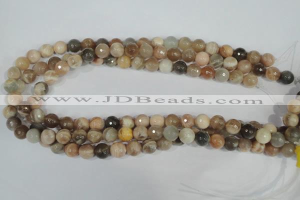 CMS572 15.5 inches 10mm faceted round moonstone beads wholesale