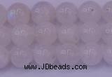 CMS642 15.5 inches 8mm round white moonstone beads wholesale