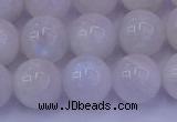 CMS644 15.5 inches 12mm round white moonstone beads wholesale