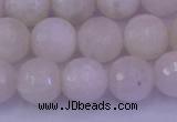 CMS663 15.5 inches 10mm faceted round white moonstone beads