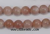 CMS754 15.5 inches 10mm round natural moonstone beads wholesale