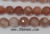 CMS765 15.5 inches 10mm faceted round natural moonstone beads