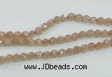 CMS81 15.5 inches 4mm faceted round moonstone gemstone beads