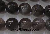 CMS853 15.5 inches 10mm round natural black moonstone beads