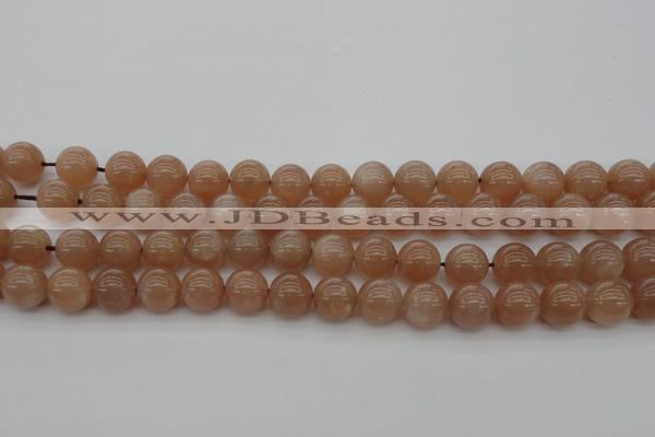 CMS932 15.5 inches 8mm round A grade moonstone gemstone beads