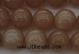 CMS933 15.5 inches 10mm round A grade moonstone gemstone beads