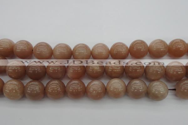 CMS936 15.5 inches 16mm round A grade moonstone gemstone beads