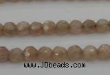 CMS940 15.5 inches 4mm faceted round A grade moonstone gemstone beads