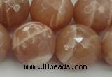 CMS947 15.5 inches 18mm faceted round A grade moonstone gemstone beads