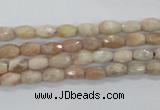 CMS99 15.5 inches 5*7mm faceted rice moonstone gemstone beads