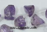 CNA205 15.5 inches 12*20mm natural amethyst gemstone chips beads