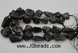 CNG1096 15.5 inches 18*25mm - 25*35mm nuggets ammonite fossil beads