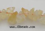 CNG1118 15.5 inches 8*12mm - 13*18mm nuggets citrine gemstone beads