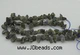 CNG1159 15.5 inches 8*12mm - 13*18mm nuggets labradorite beads