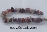 CNG2538 10*15mm – 12*25mm nuggets tourmaline beads wholesale