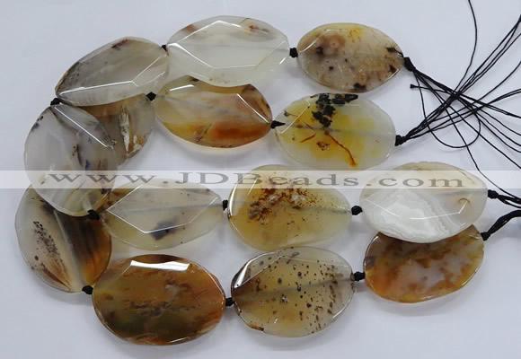 CNG2555 35*50mm - 40*55mm faceted freeform montana agate beads